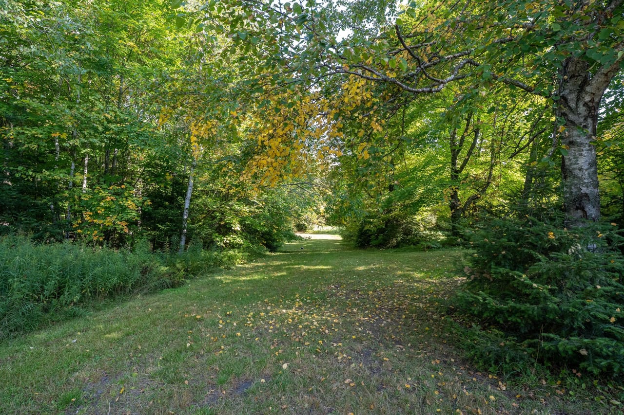 Michigan Gem 32+ Acres 50119851