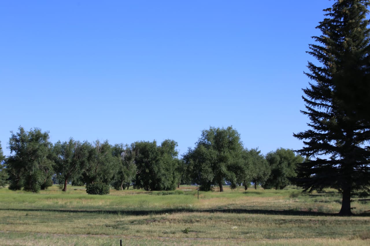 Listing Image 37
