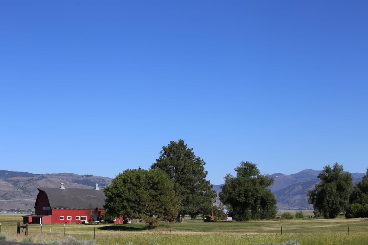 Listing Image 6