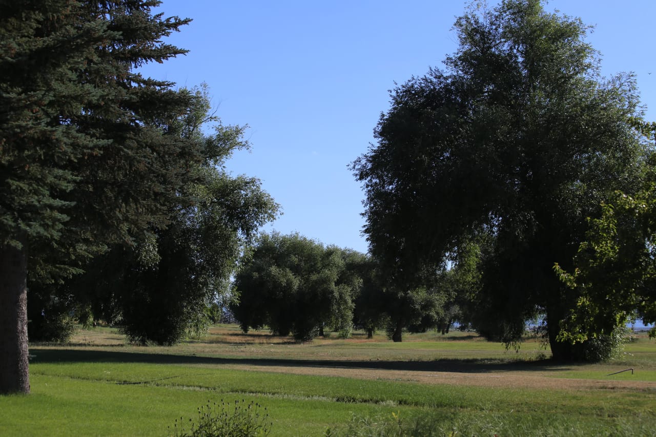 Listing Image 8
