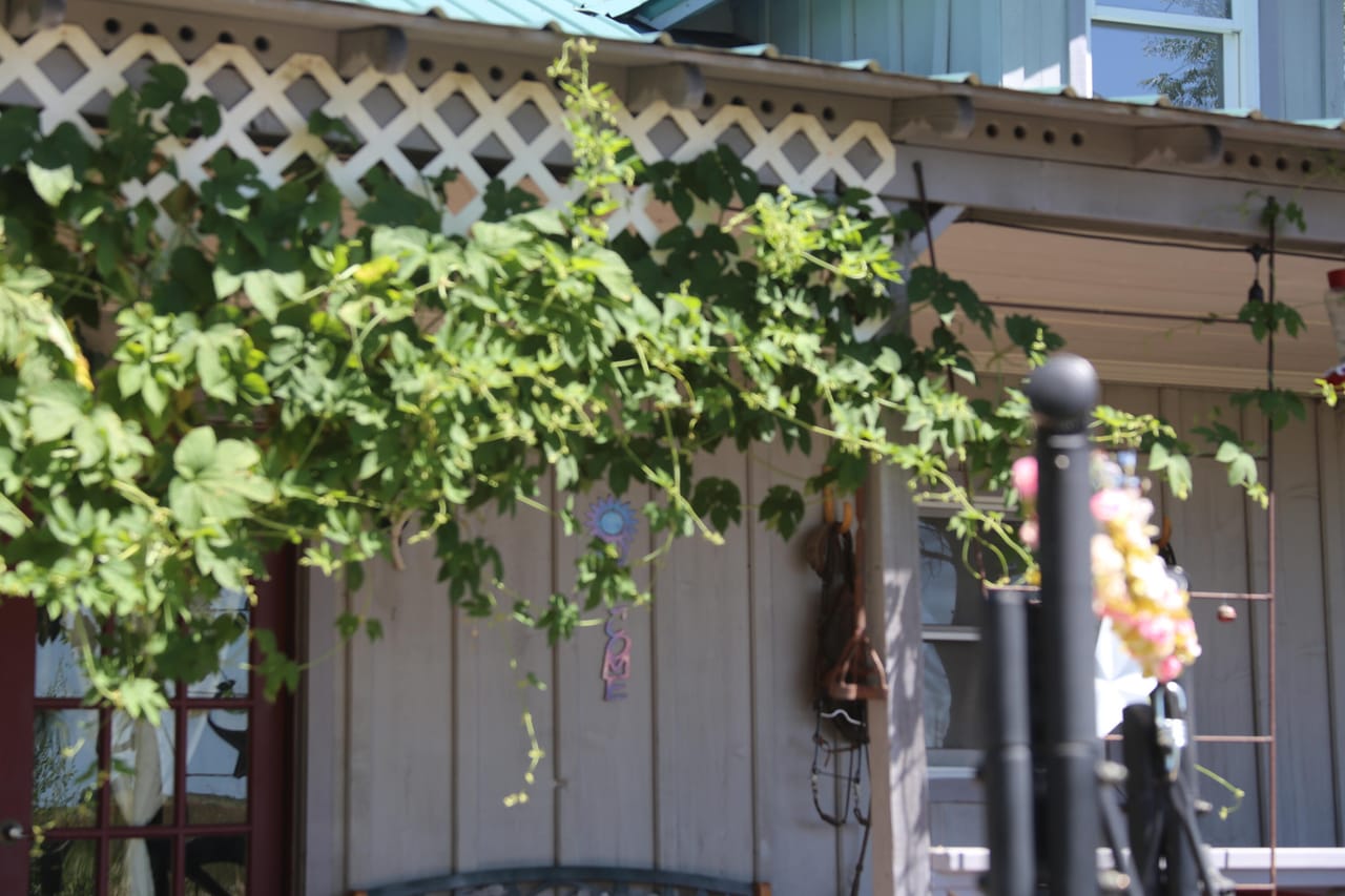 Listing Image 16