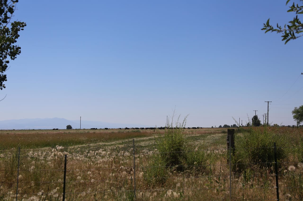 Listing Image 17