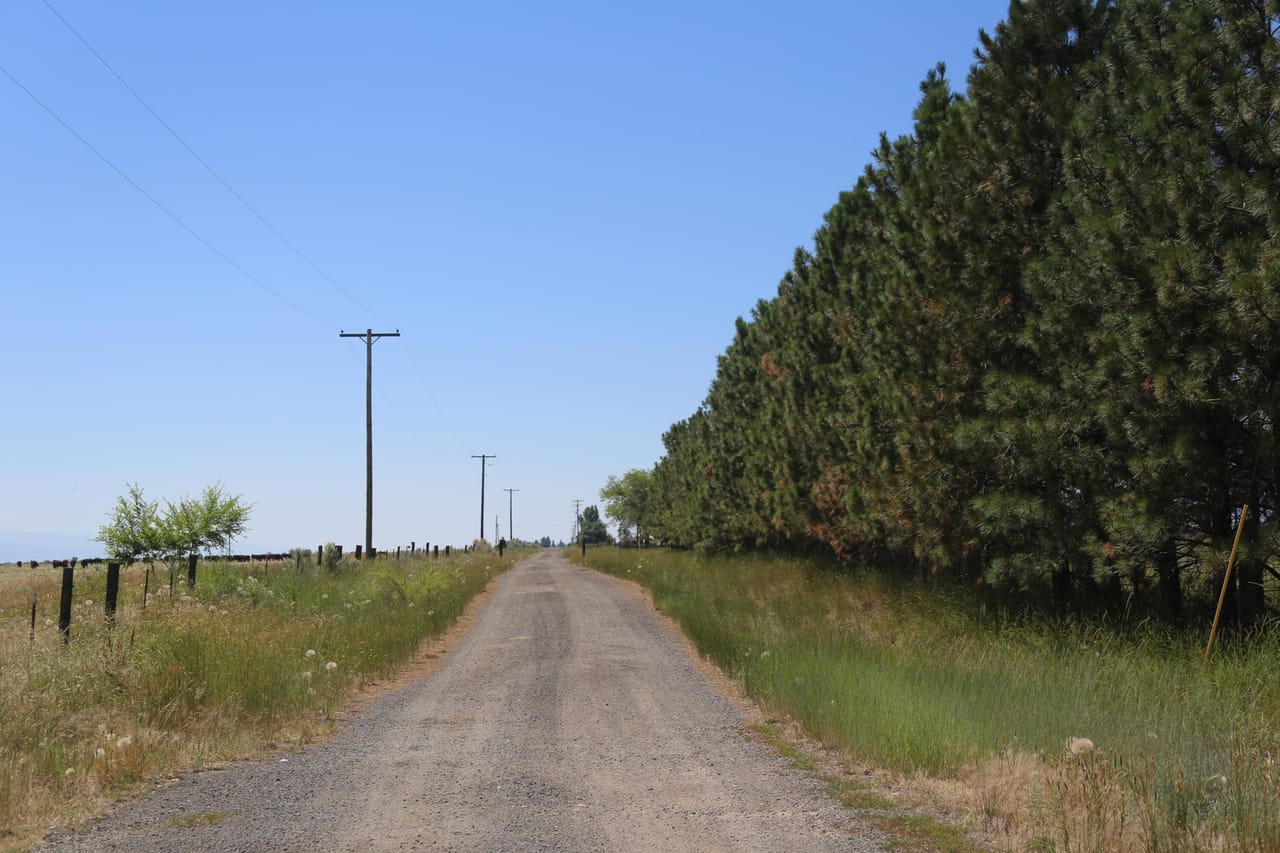Listing Image 19