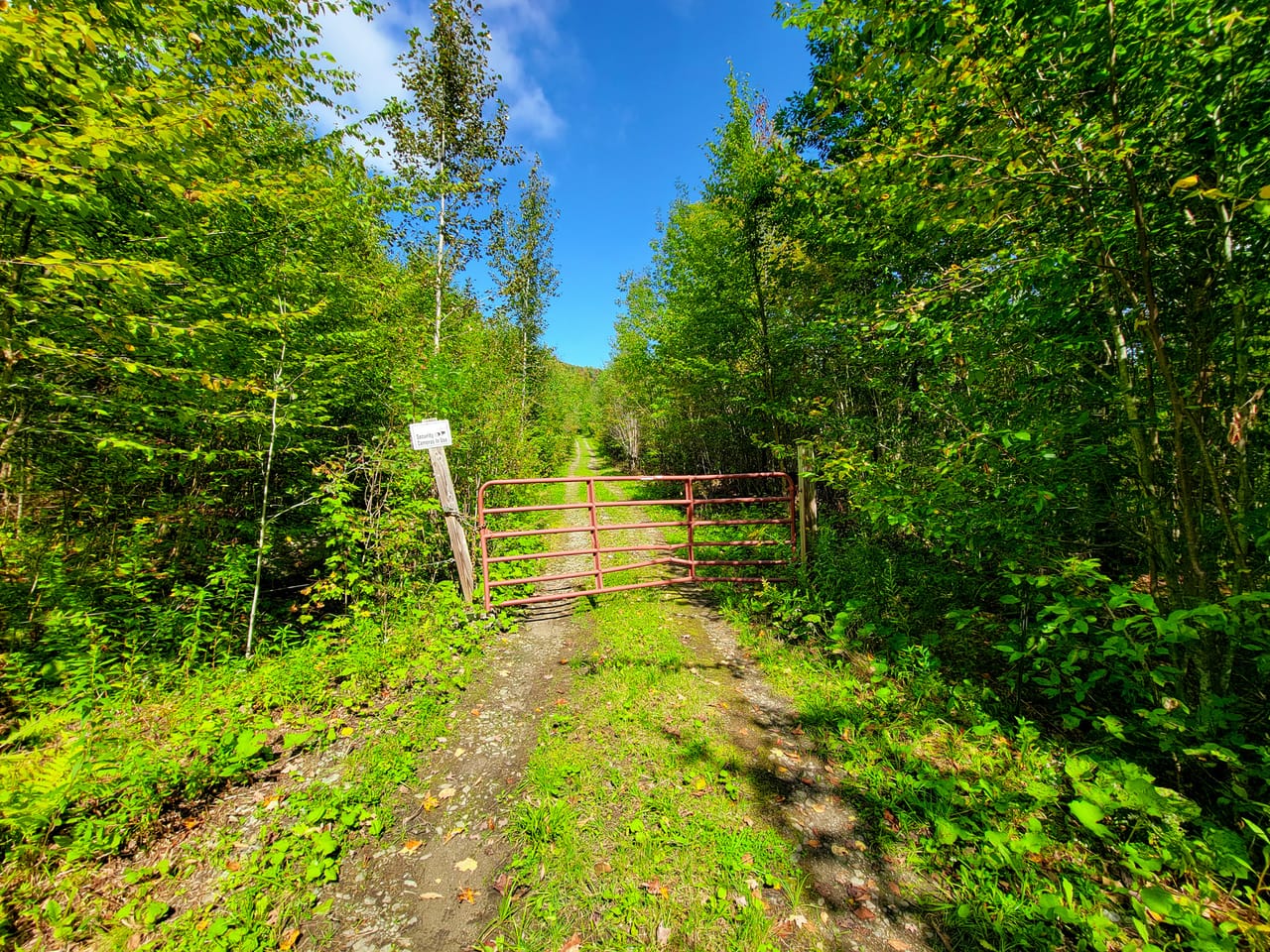 Listing Image 14