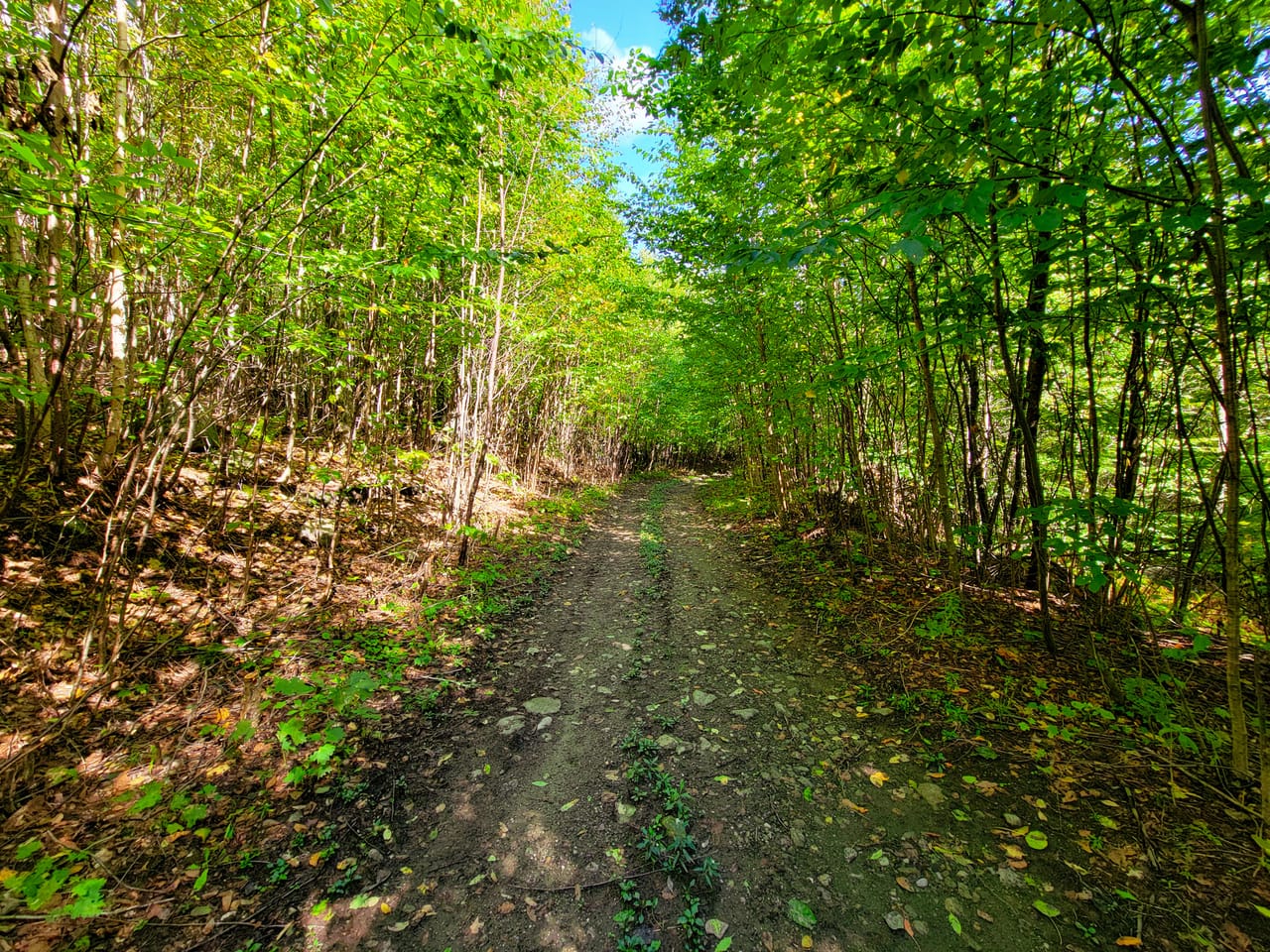 Listing Image 65