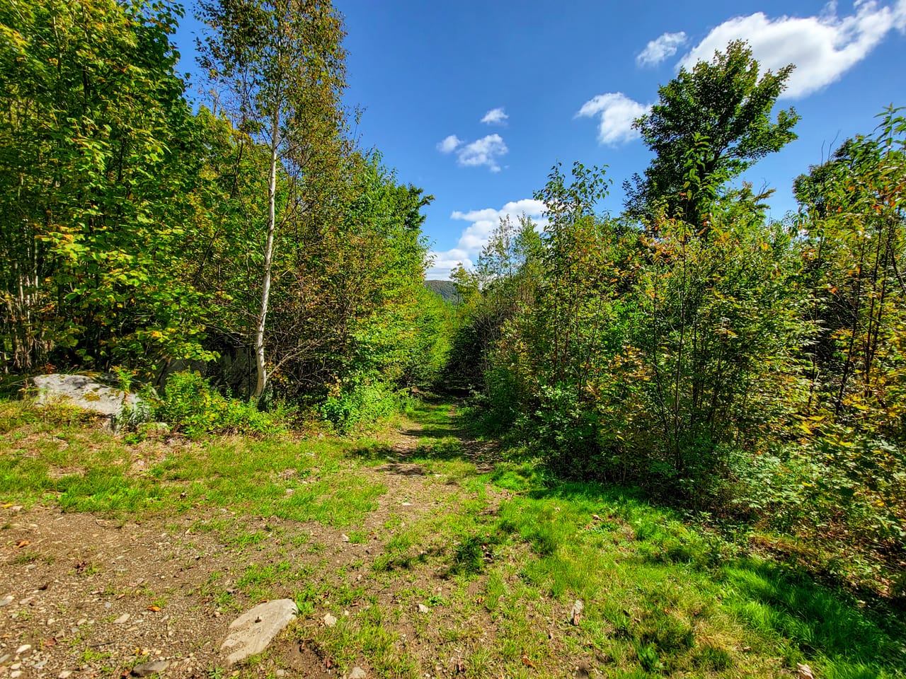 Listing Image 43