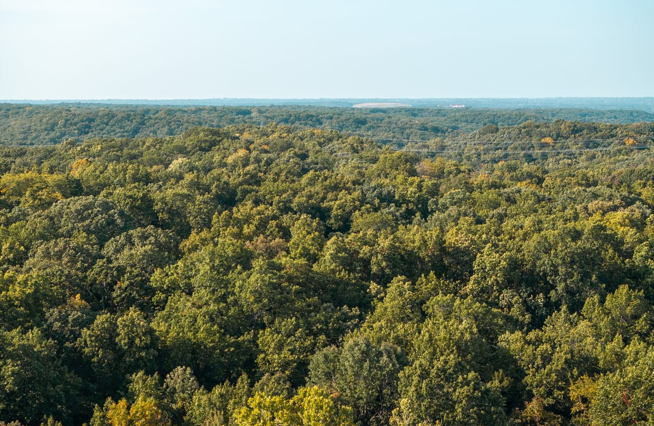 Listing Image 6