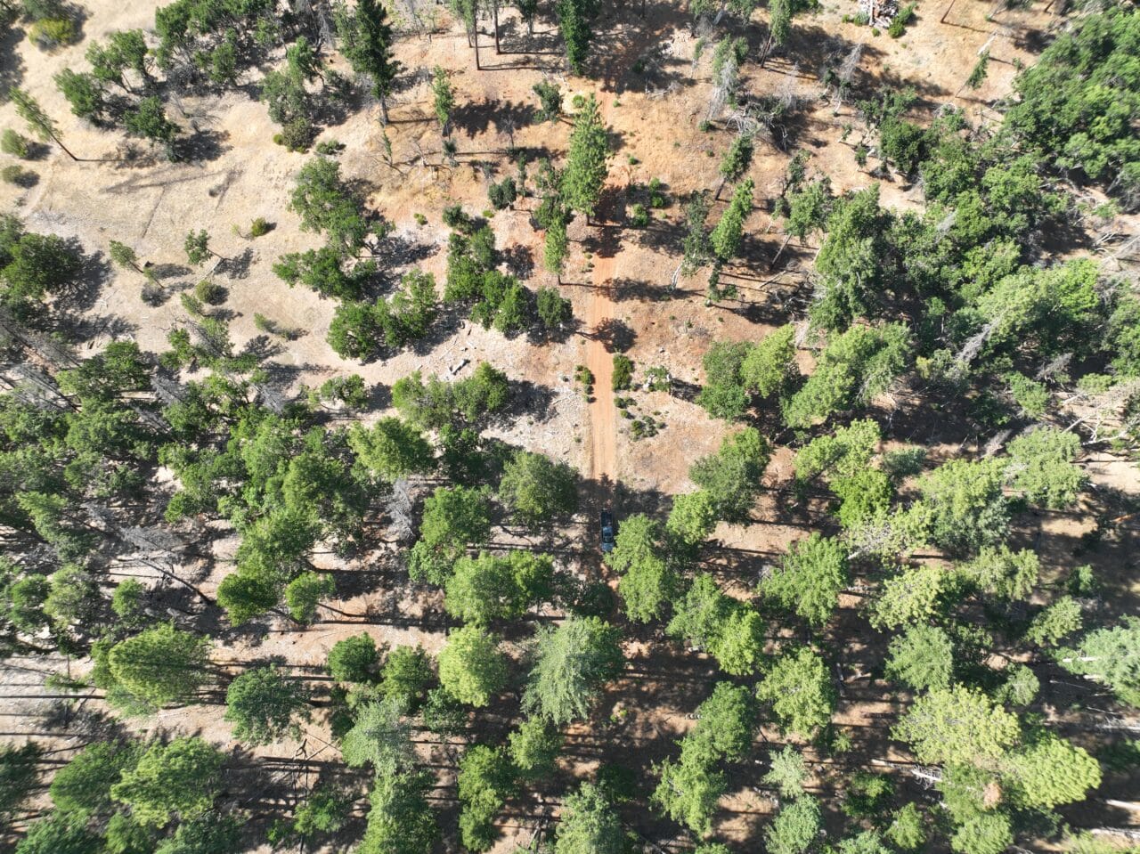 240 Acres Hayfork