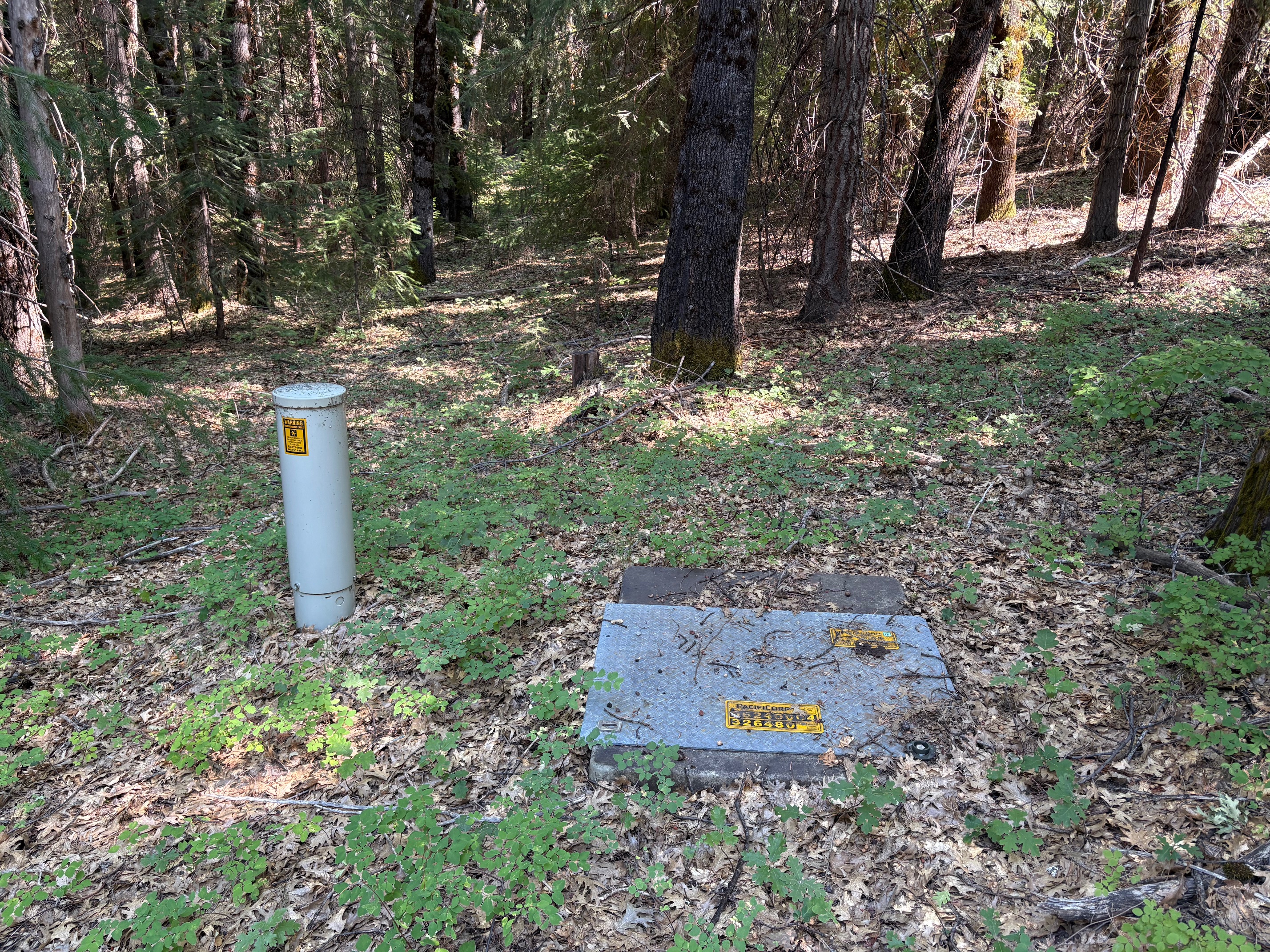 40 ACRES SISKIYOU (430)