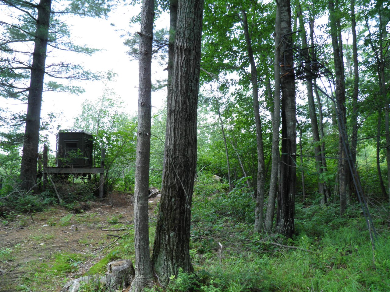 Ausable Sand Plains