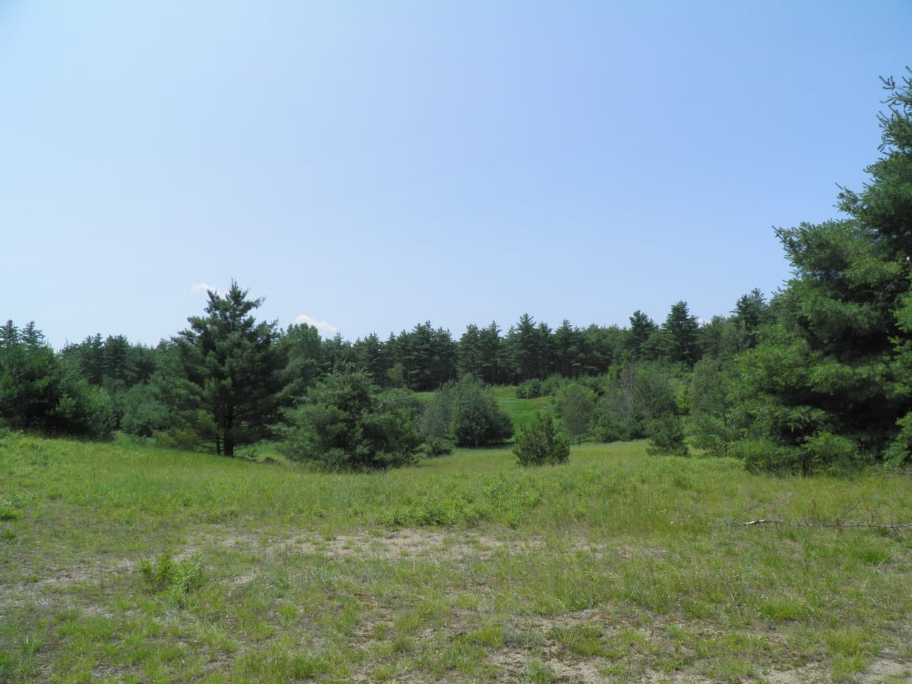 Ausable Sand Plains