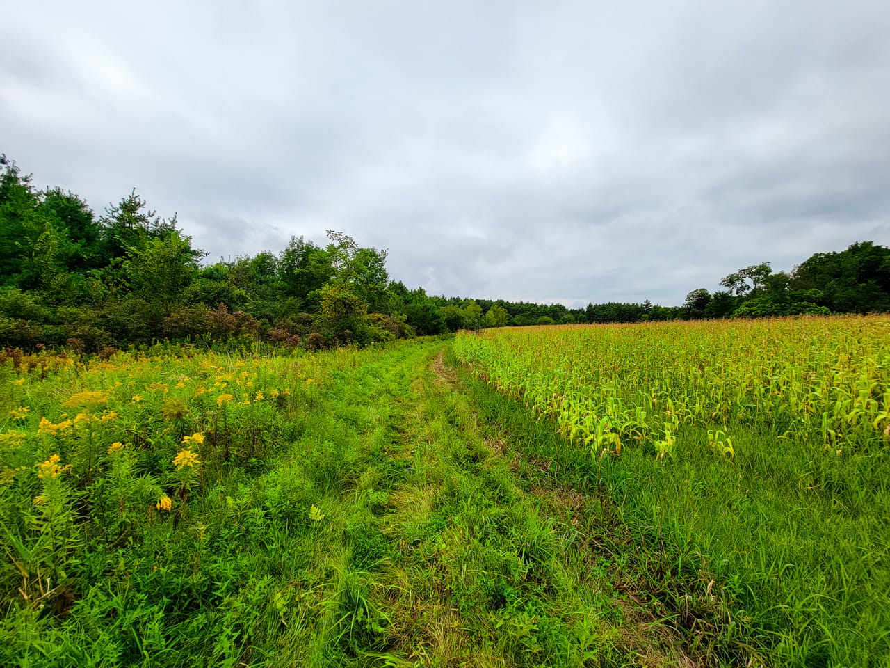 Listing Image 56
