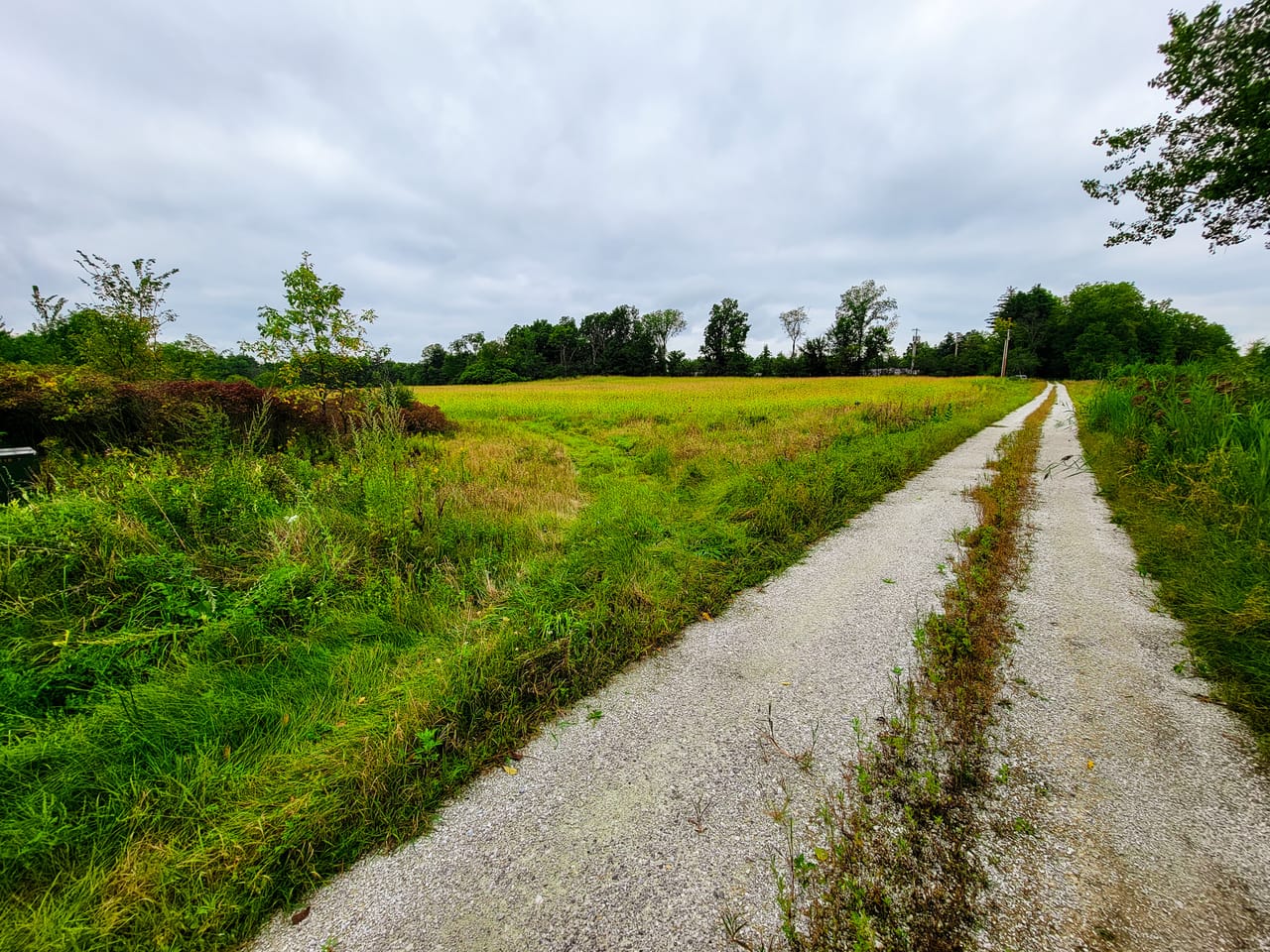 Listing Image 58