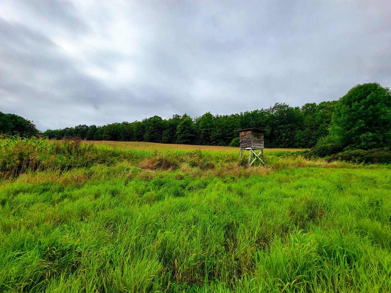 Listing Image 75