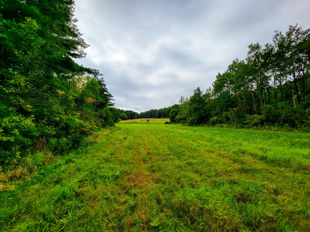 Listing Image 76