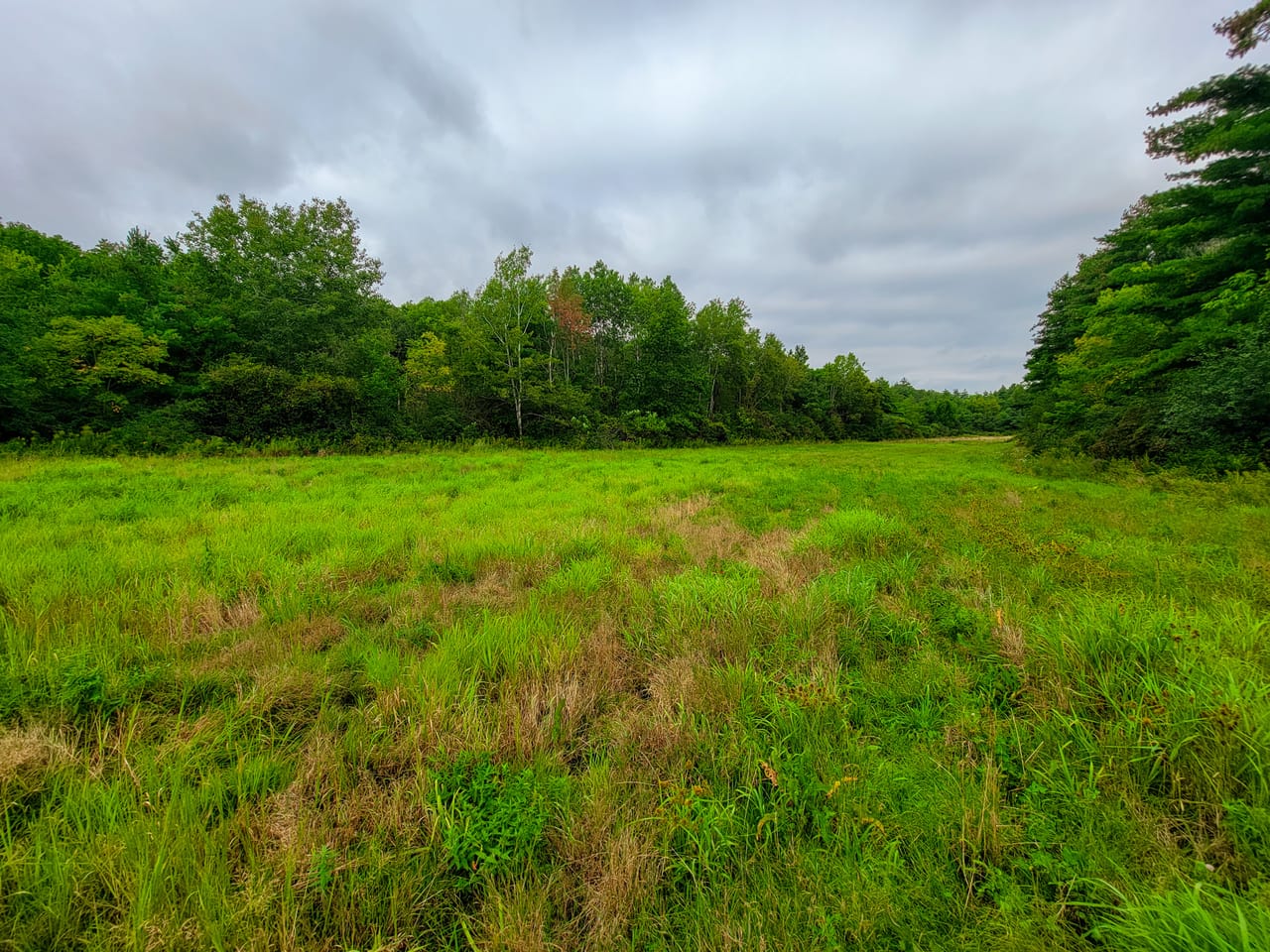 Listing Image 78