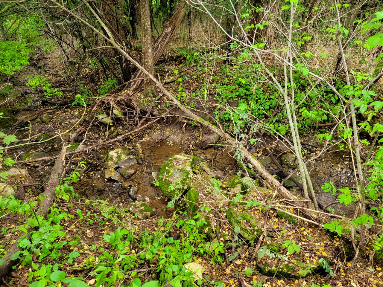 Listing Image 9