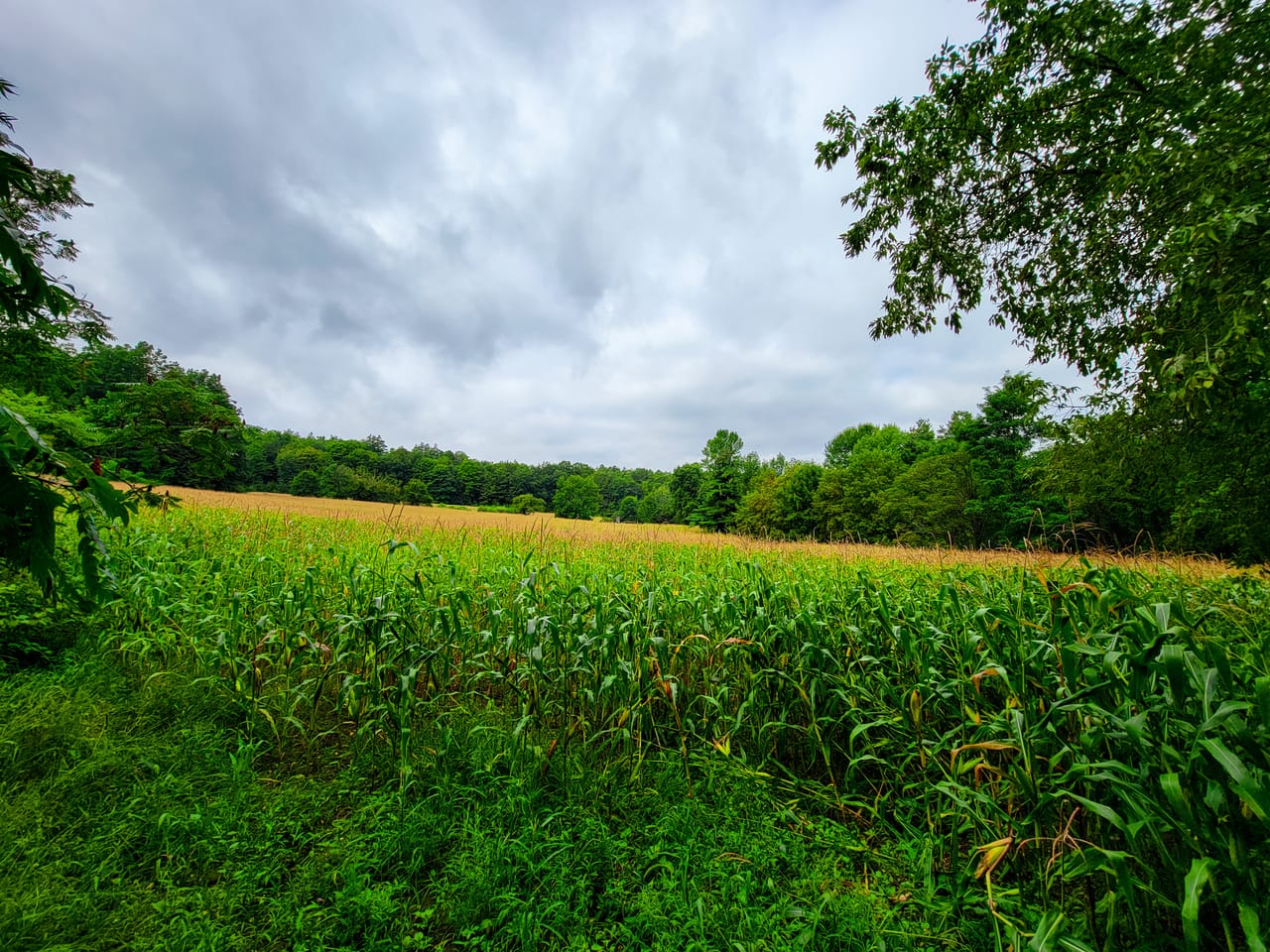 Listing Image 65