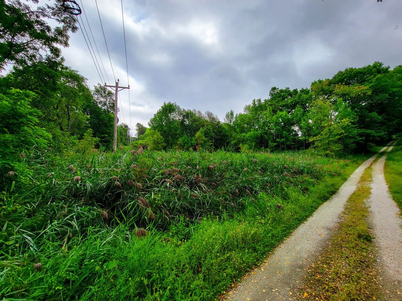 Listing Image 71