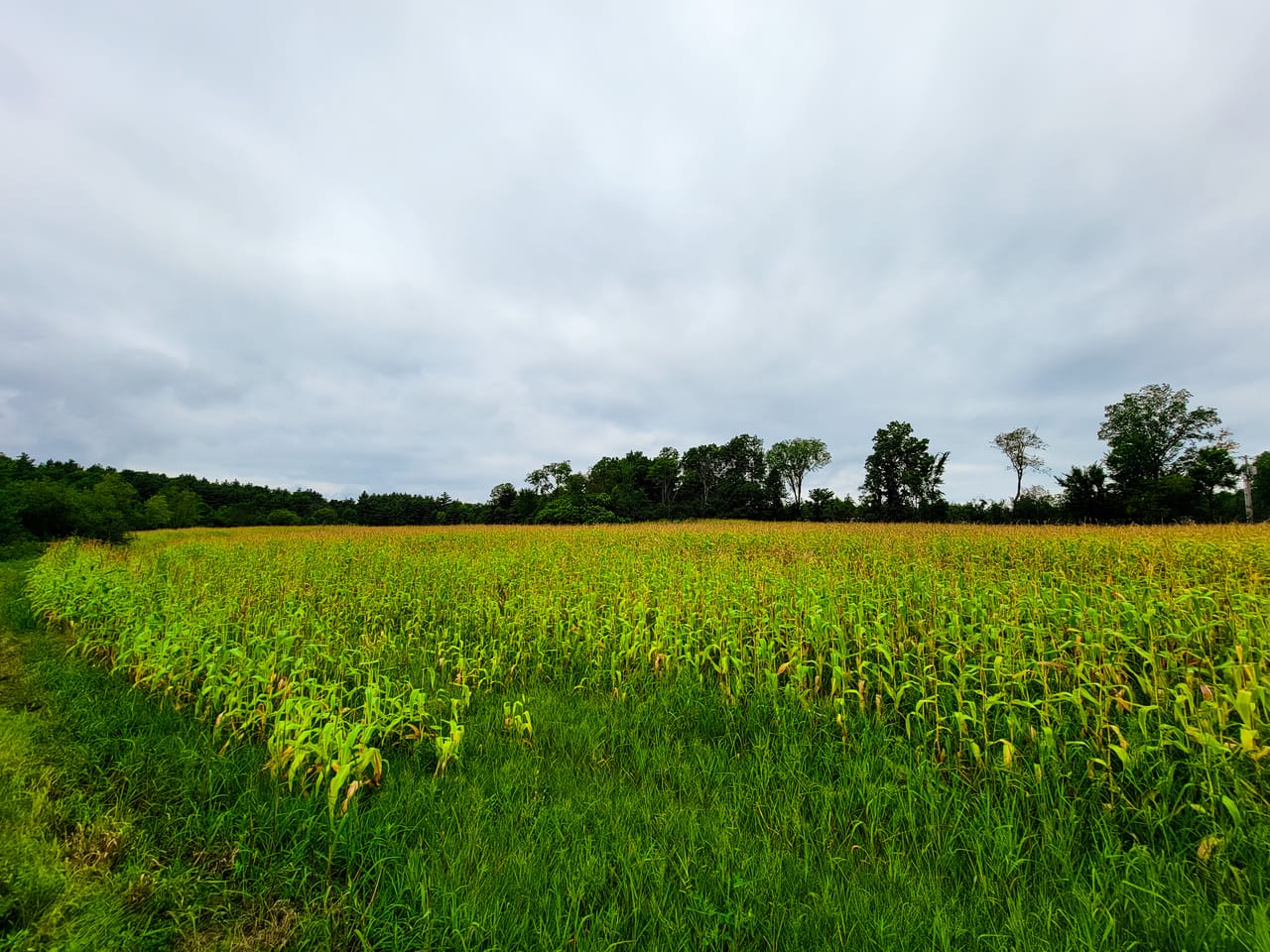 Listing Image 18