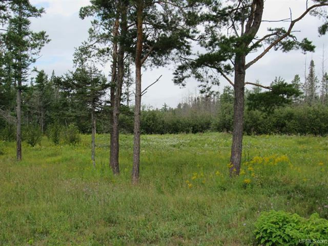 Michigan Recreational Property 50123644
