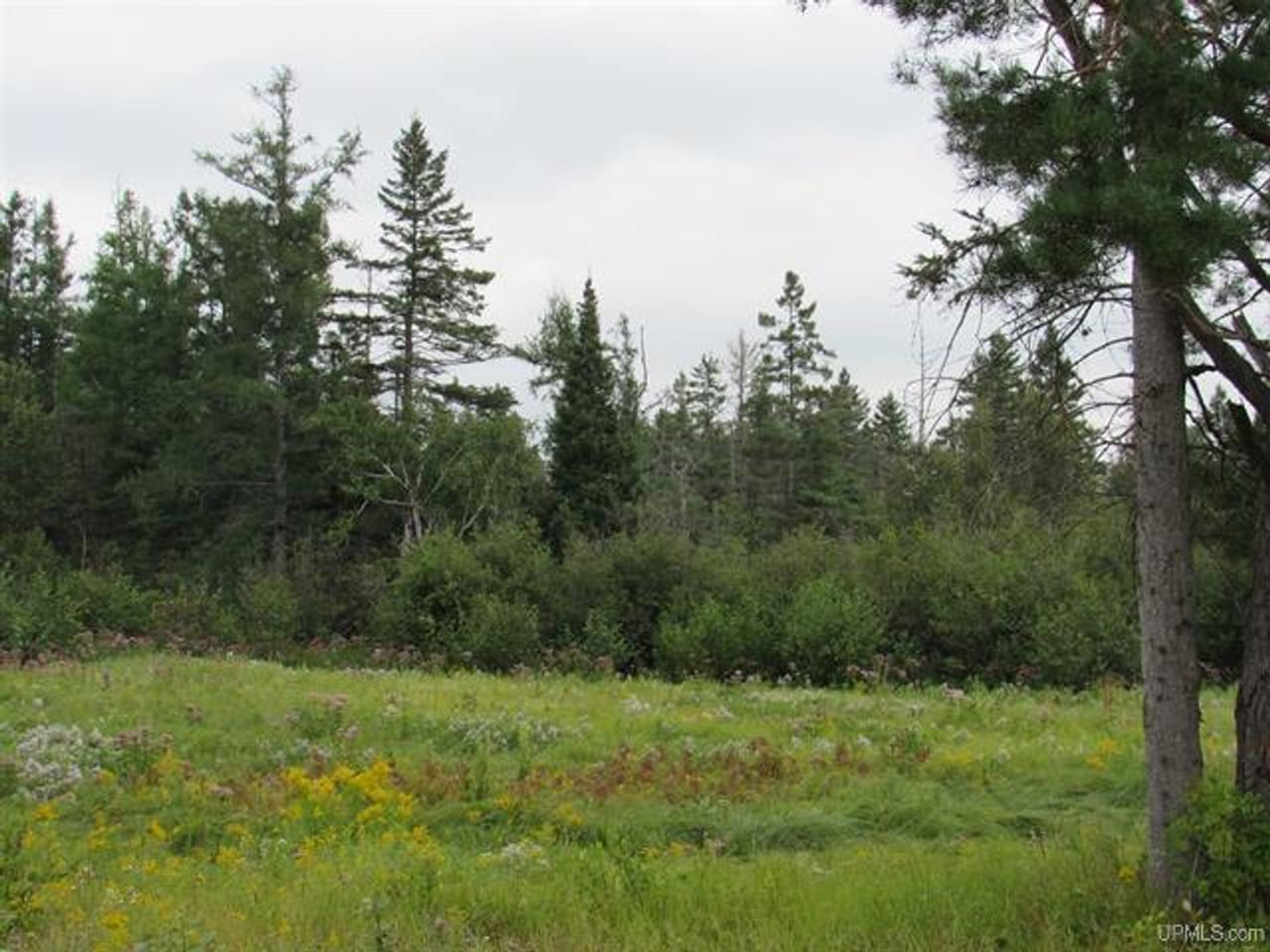 Michigan Recreational Property 50123644