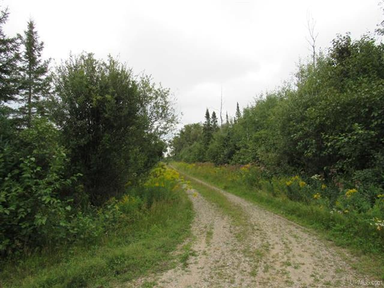 Michigan Recreational Property 50123644