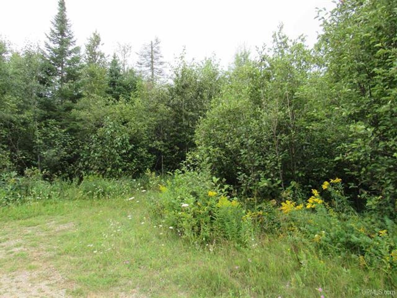 Michigan Recreational Property 50123644