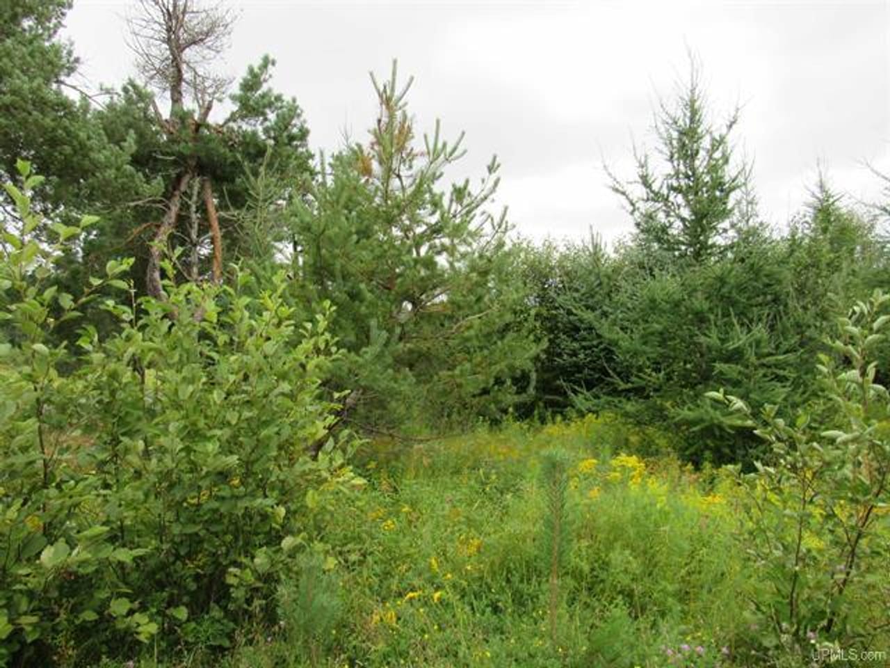 Michigan Recreational Property 50123644