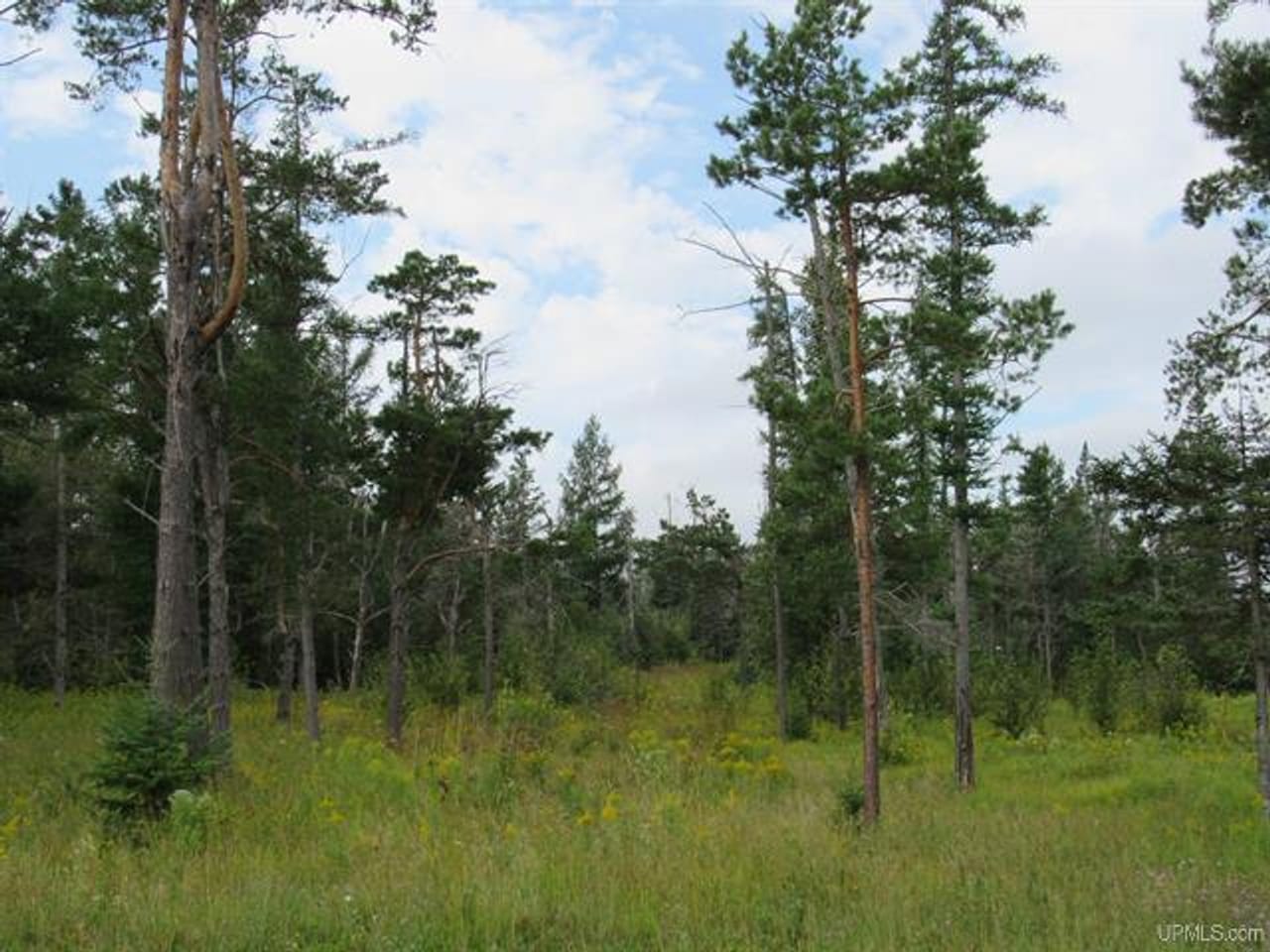 Michigan Recreational Property 50123644