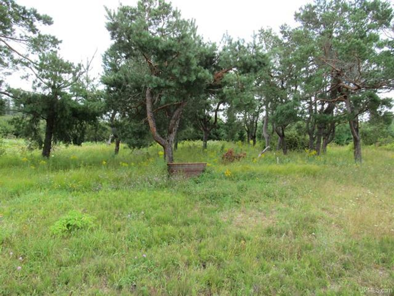 Michigan Recreational Property 50123644