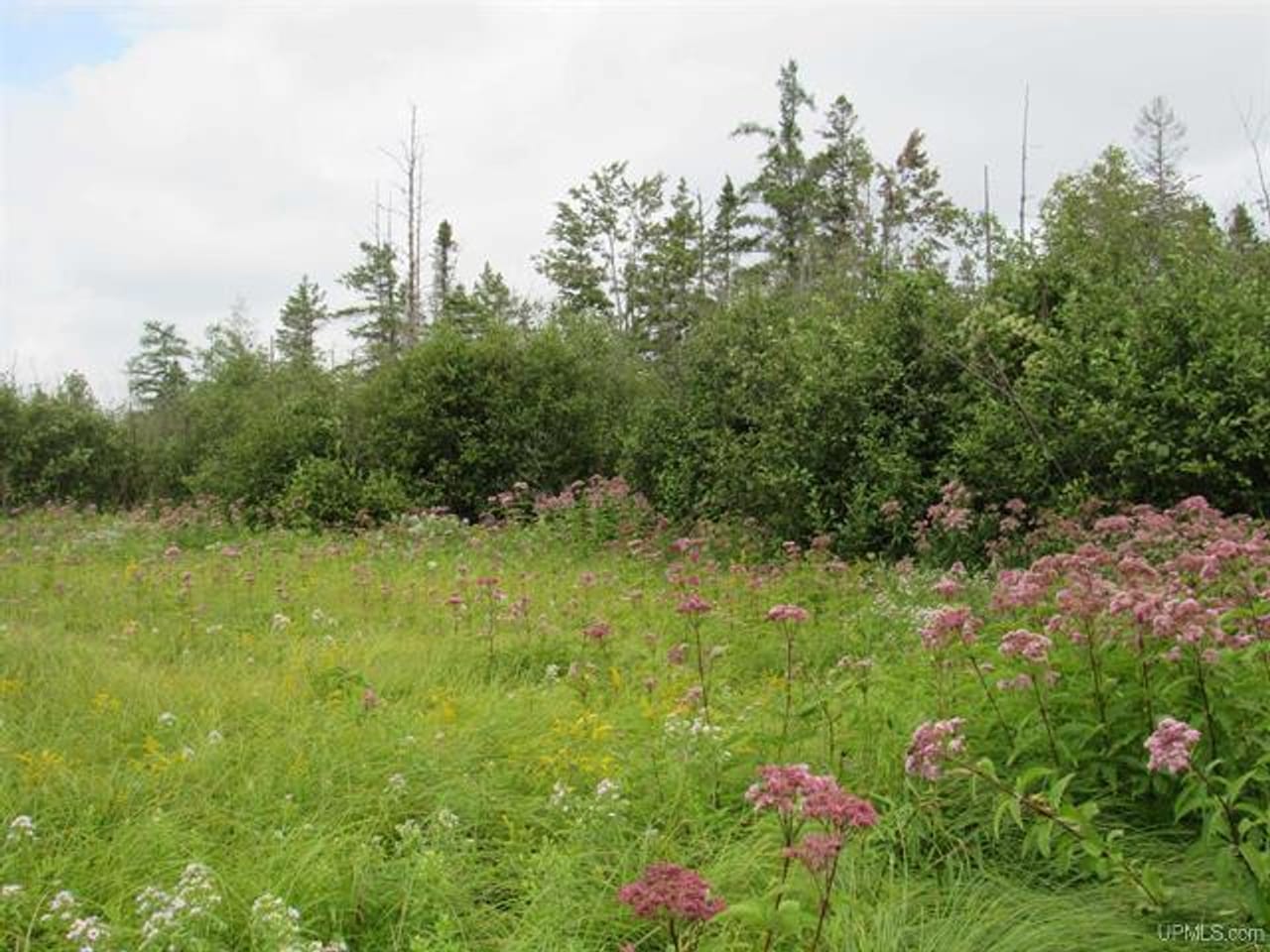 Michigan Recreational Property 50123644