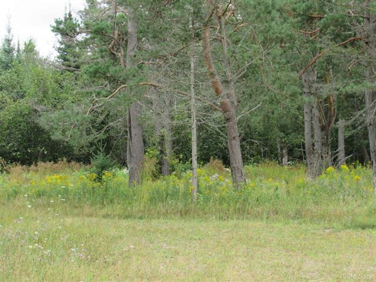 Michigan Recreational Property 50123644