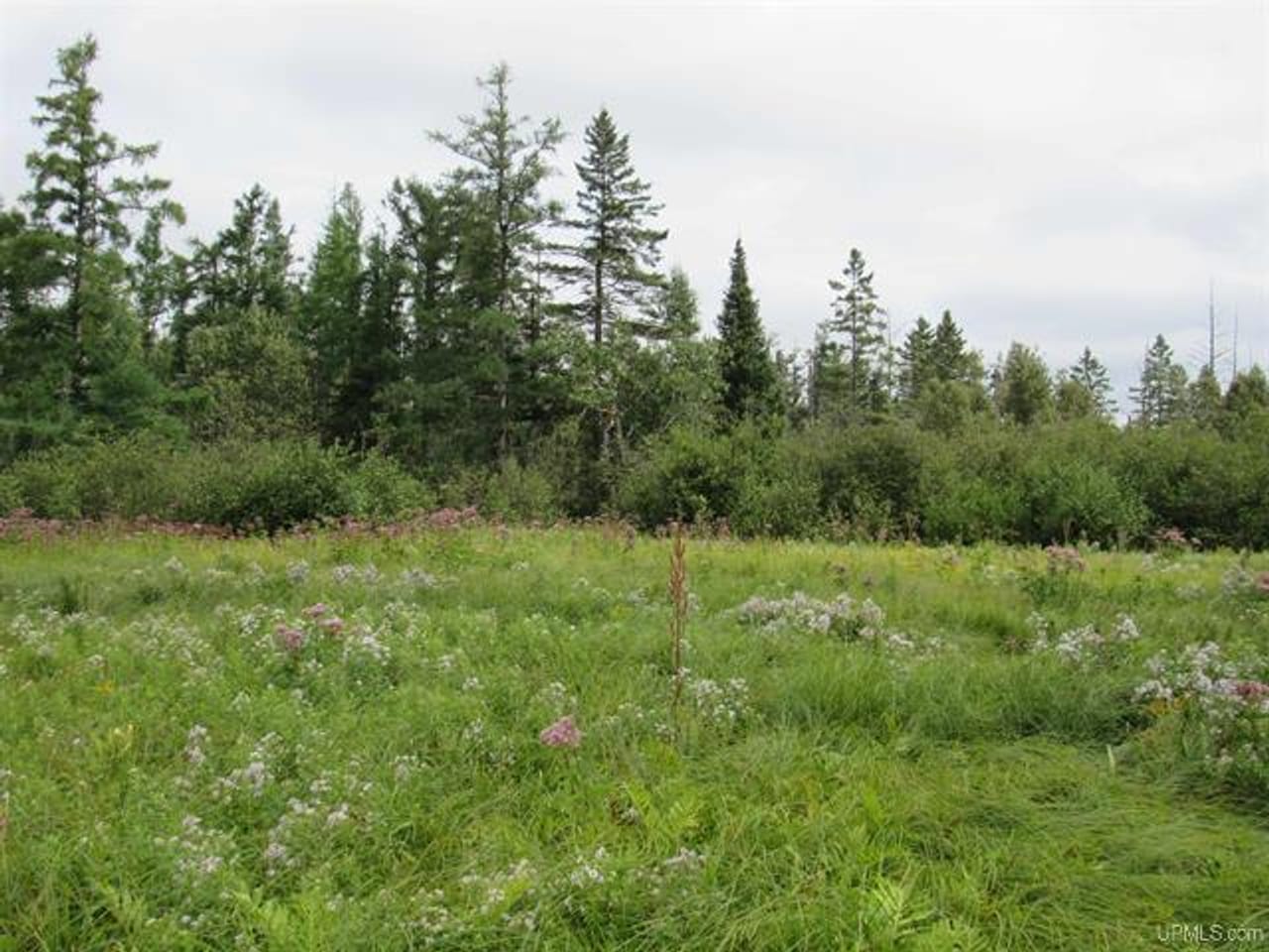 Michigan Recreational Property 50123644