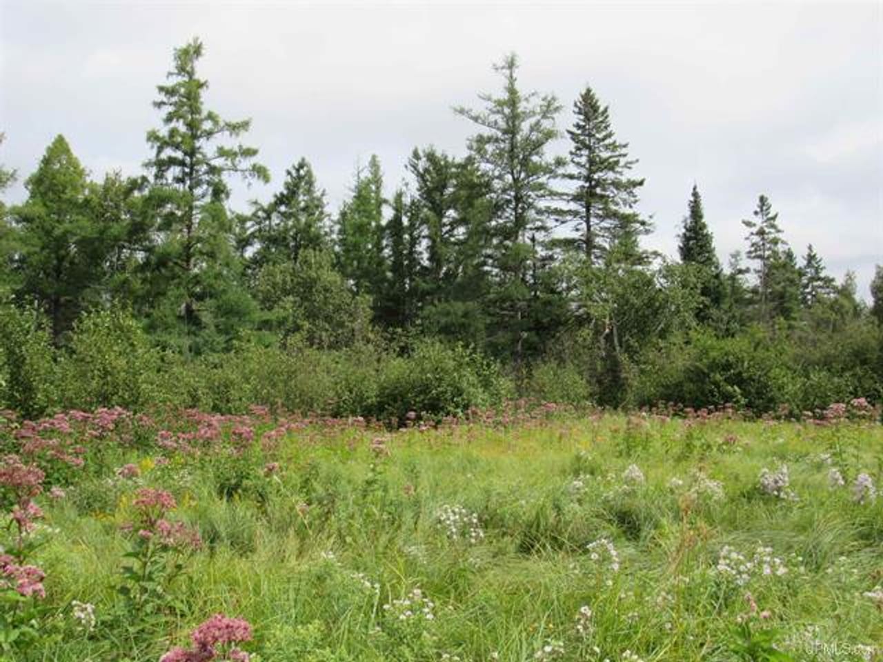 Michigan Recreational Property 50123644