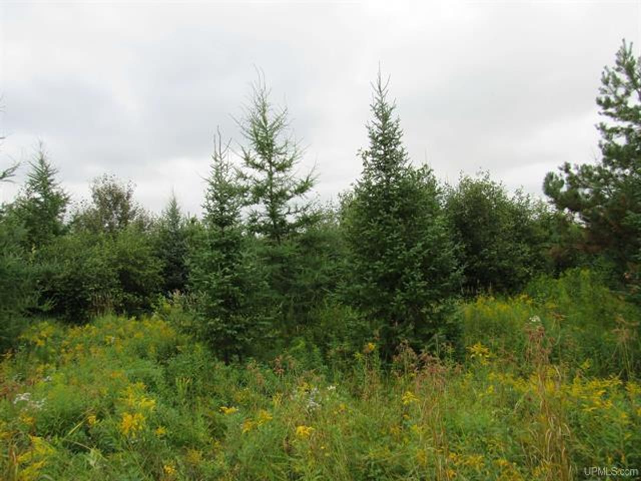 Michigan Recreational Property 50123644