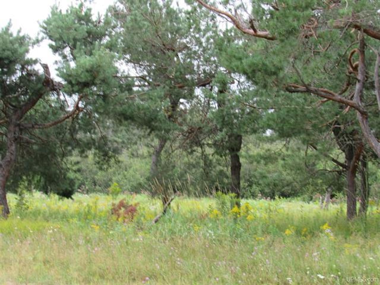 Michigan Recreational Property 50123644