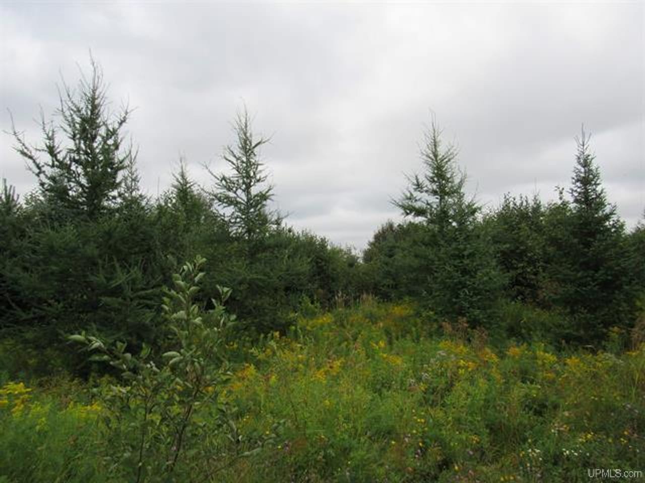 Michigan Recreational Property 50123644