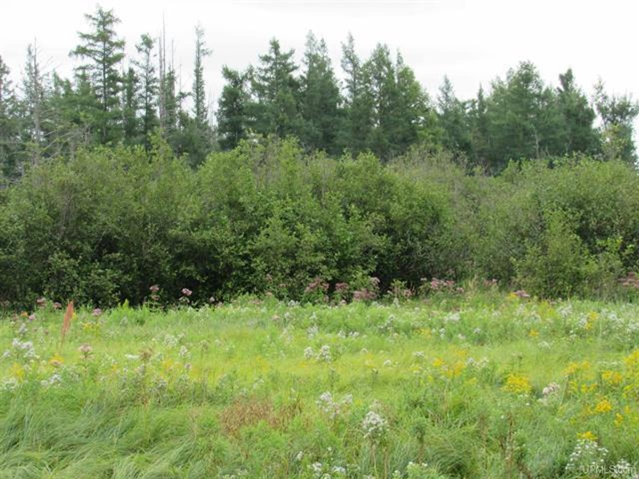 Michigan Recreational Property 50123644