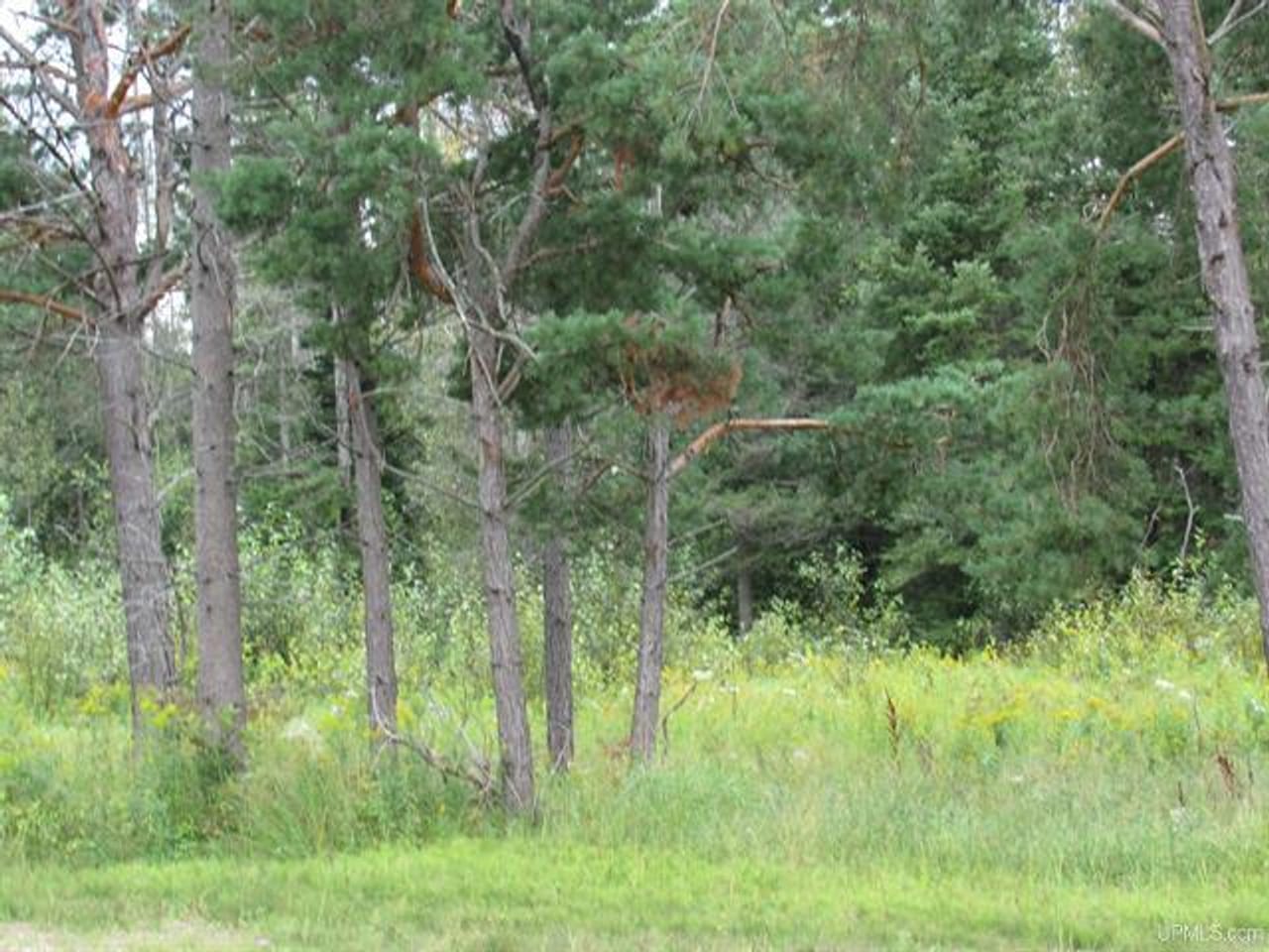 Michigan Recreational Property 50123644