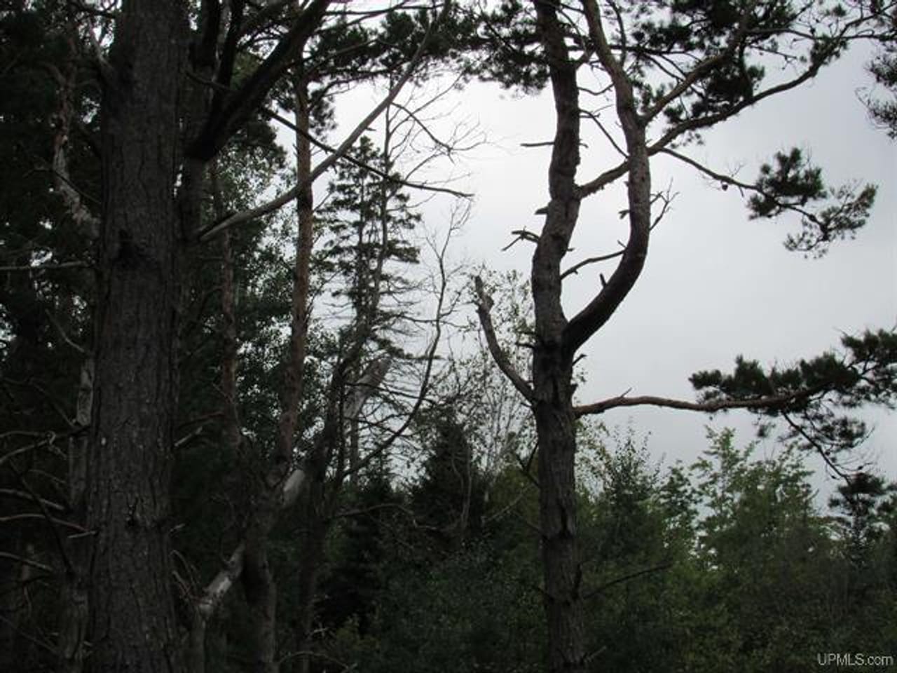 Michigan Recreational Property 50123644