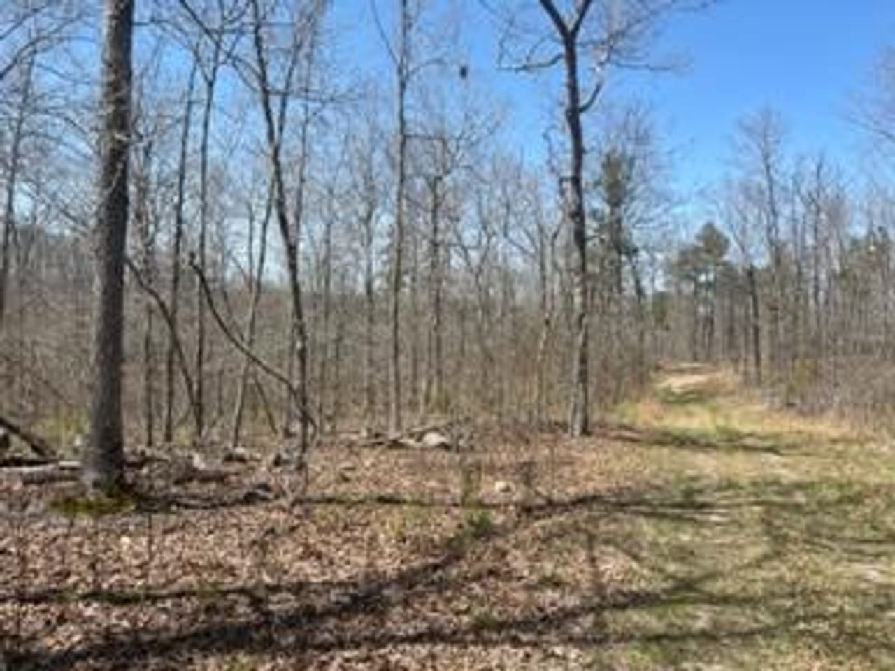Listing Image 9
