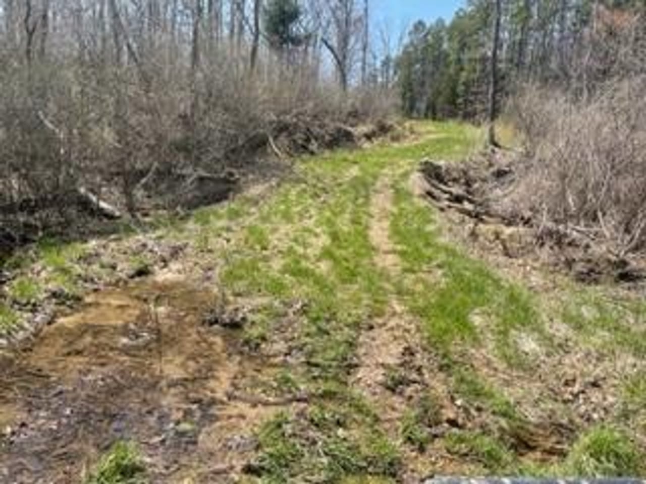 Listing Image 13