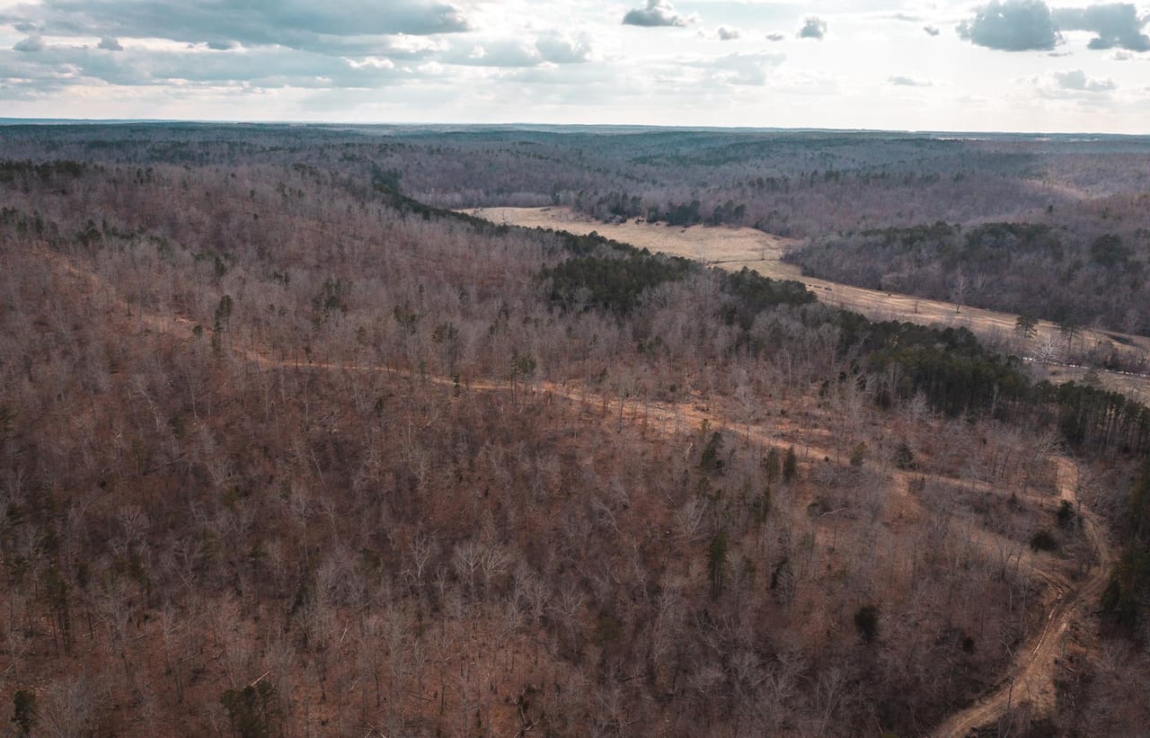 Listing Image 16