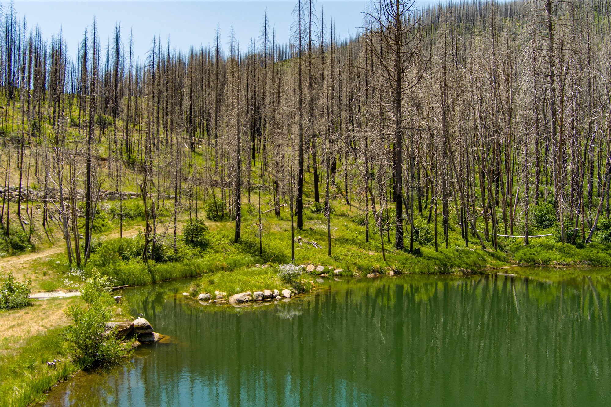 Almay Ranch