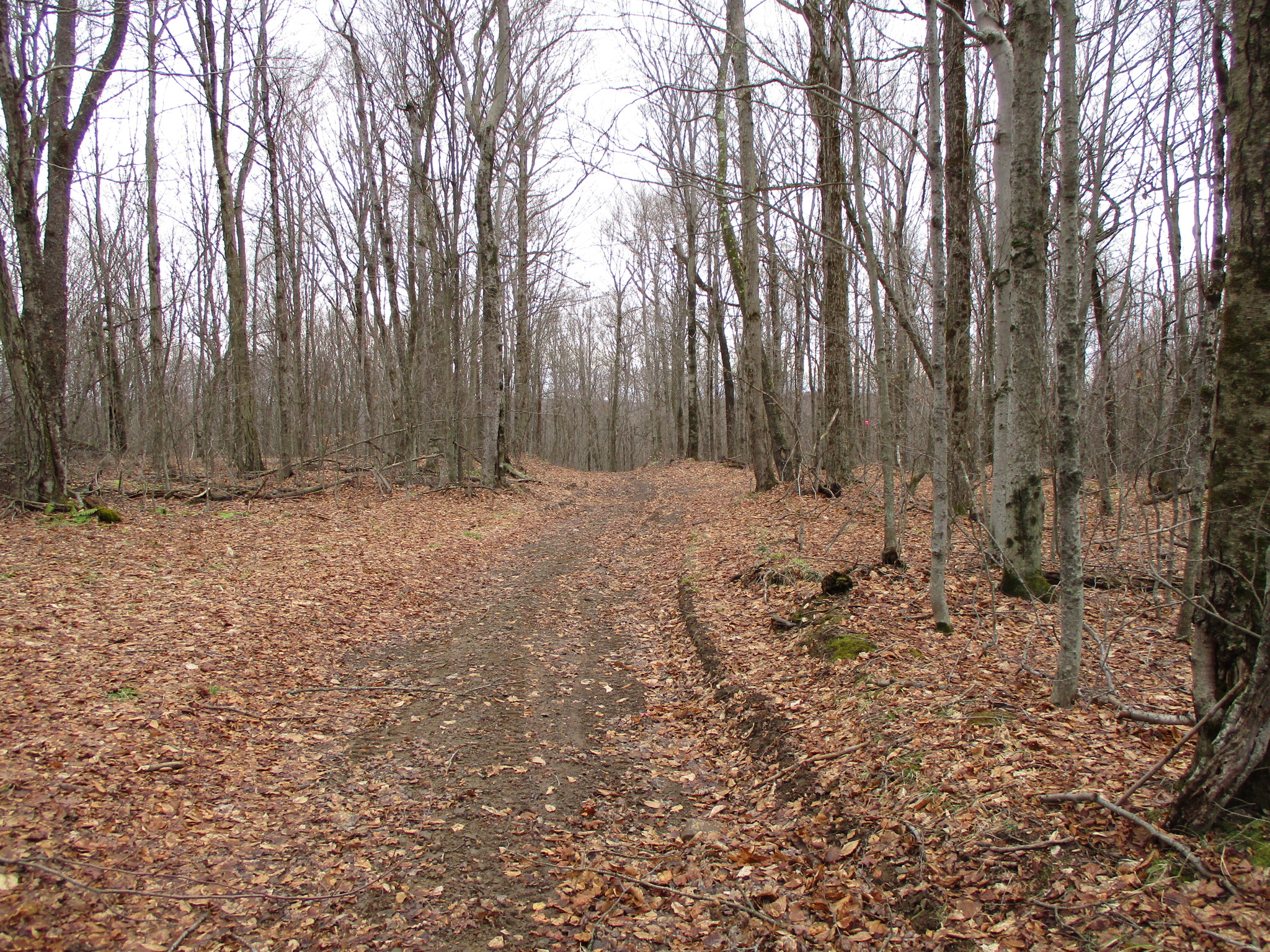 Listing Image 30