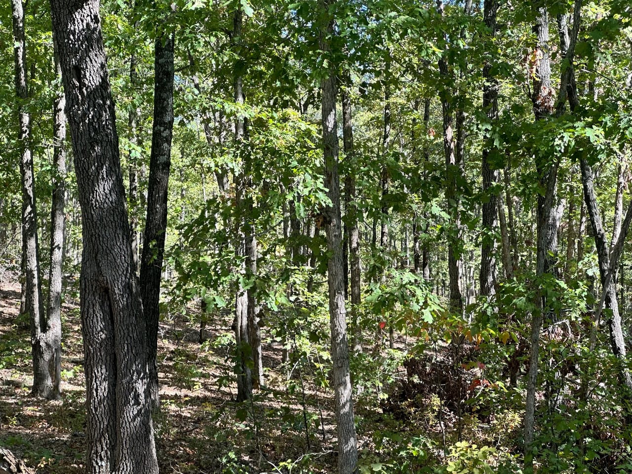 Listing Image 3