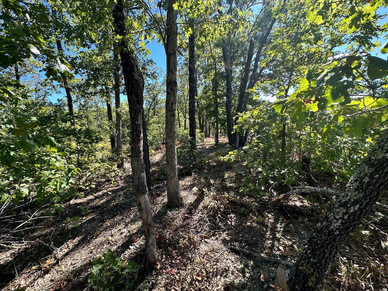 Listing Image 6