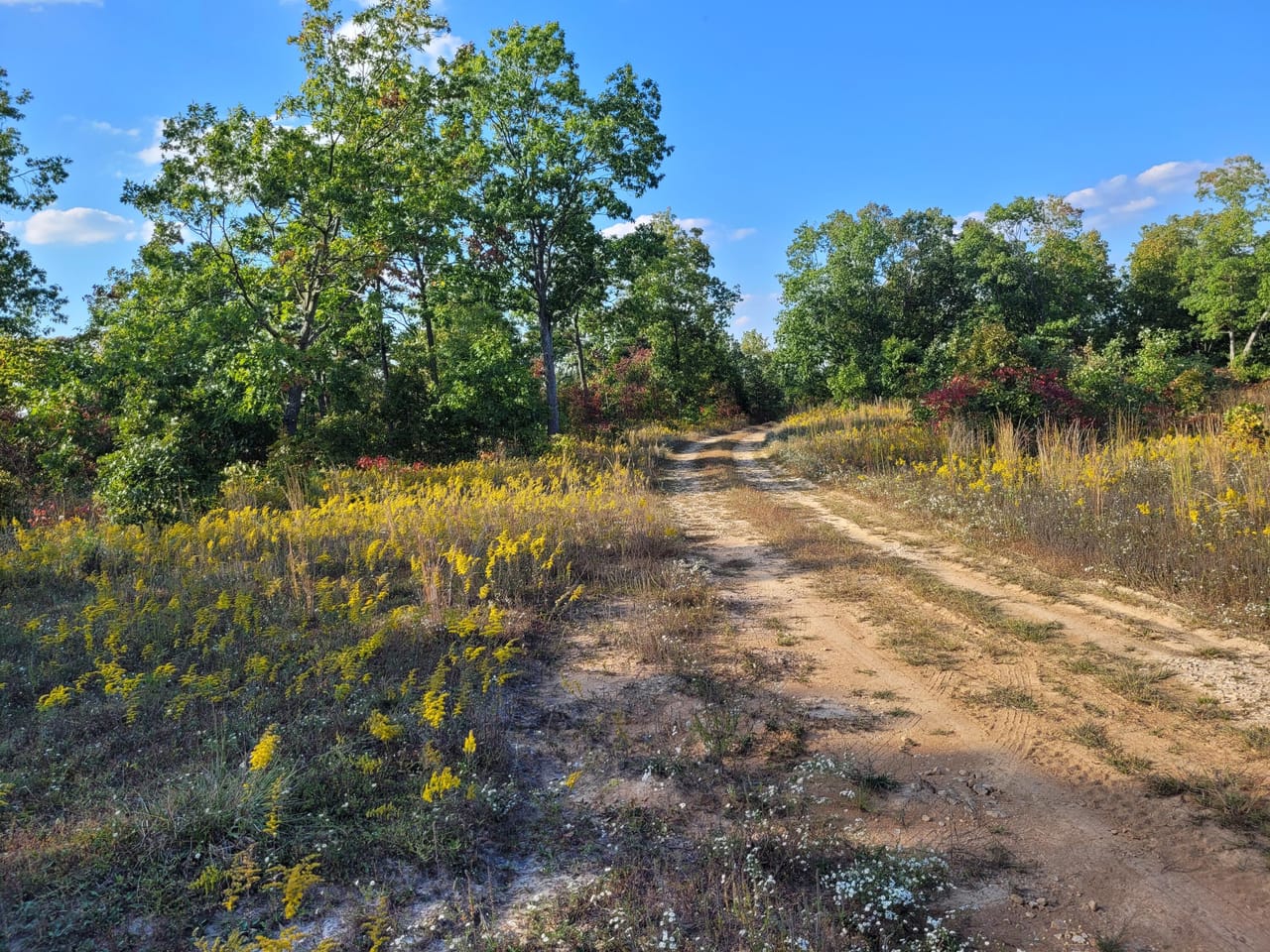 Listing Image 18