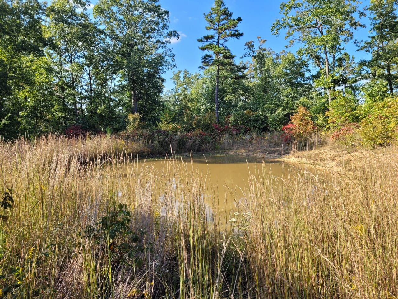 Listing Image 24